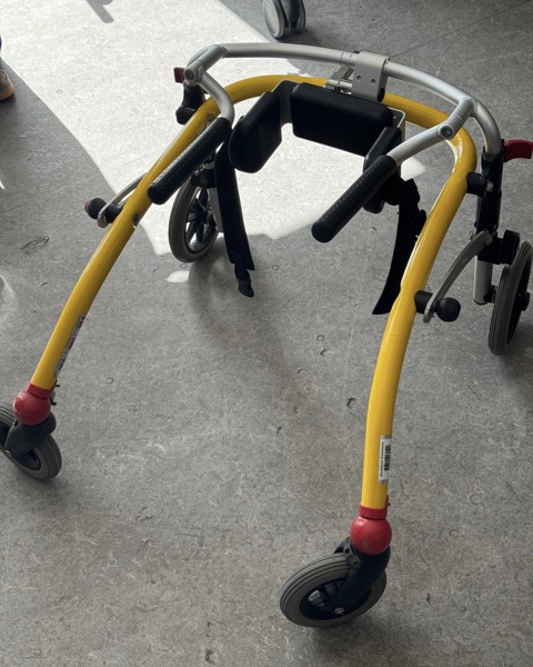 Liv's walking aid