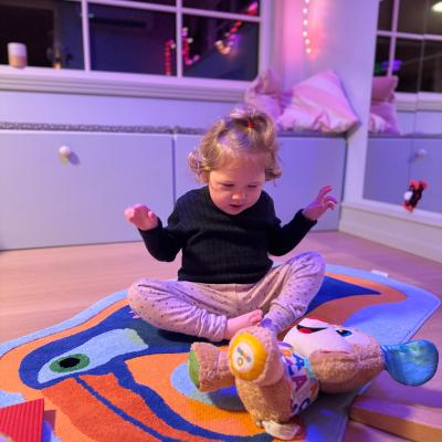 89586599 176213295325974 R